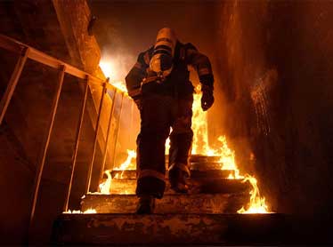 Fire Project Management